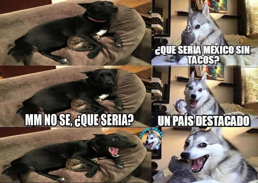 imagenes