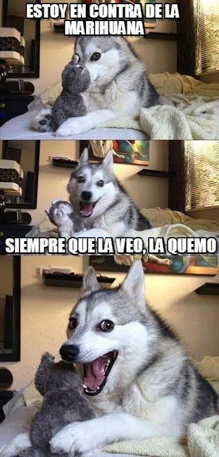 husky
