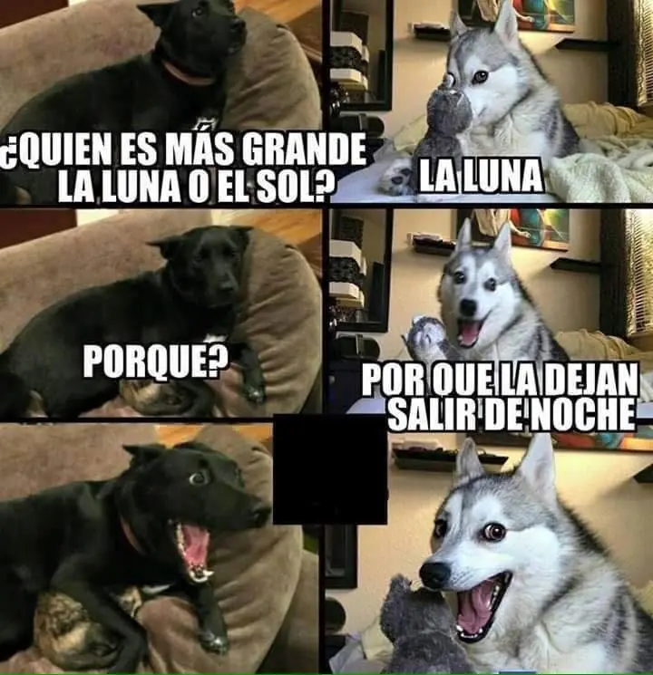 humor