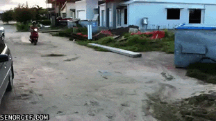 Un poco de humor [GIF]