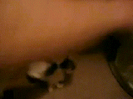 caidas