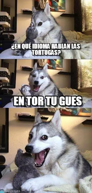 perro