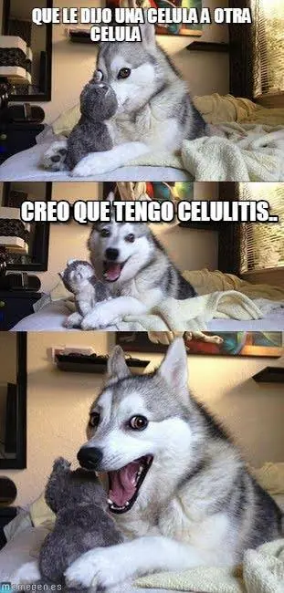 imagenes