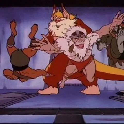 gato loco