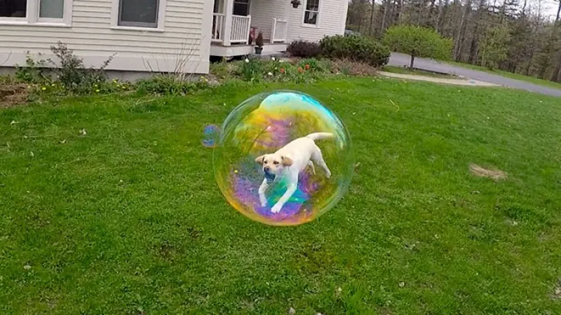 tomadas en el momento justo