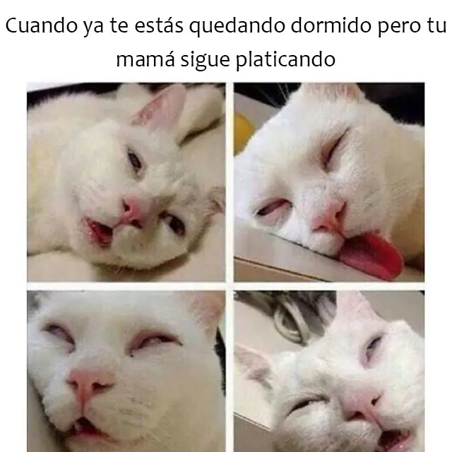 humor