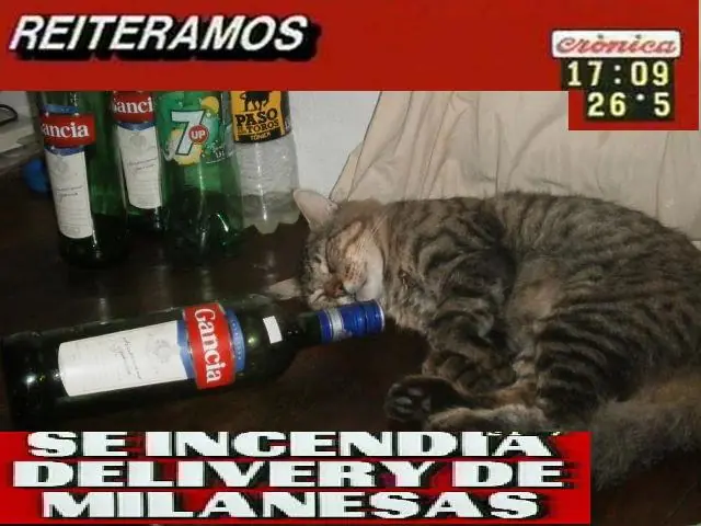 24 Imágenes que son inexplicablemente absurdas y bizarras