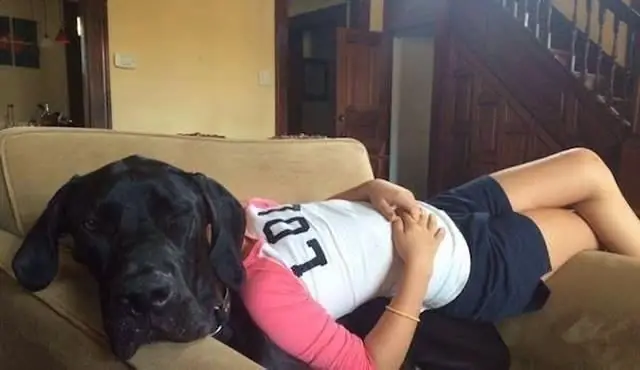 Las mejores fotos tomadas en el momento exacto
