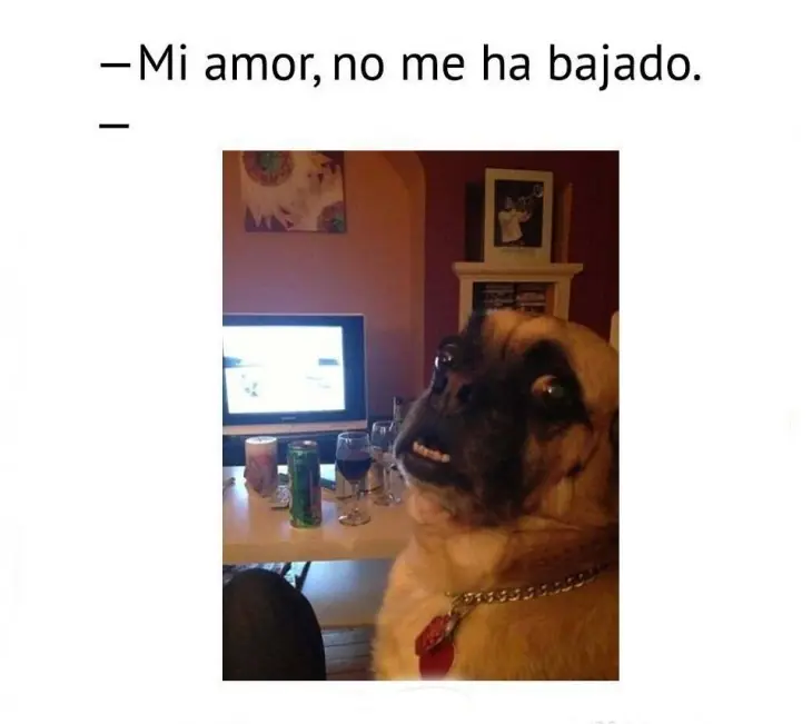 humor