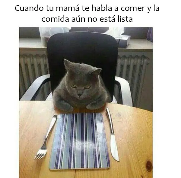 Charla