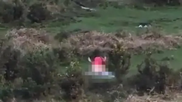 Quiso disfrutar del paisaje ¡Y terminó viendo sexo!