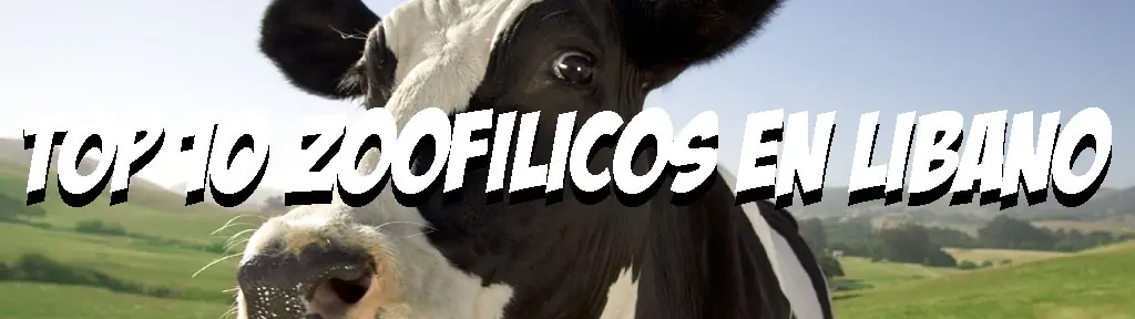 Top 10 Leyes y Sexo