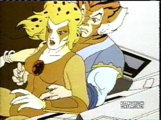 gato