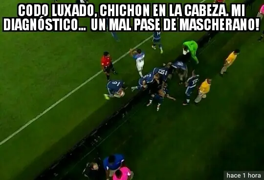 pocho