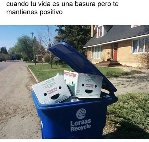 memes