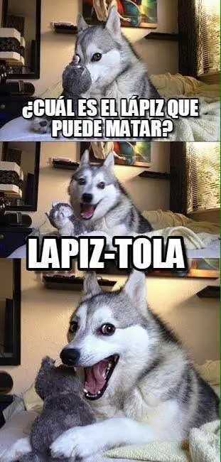 perro