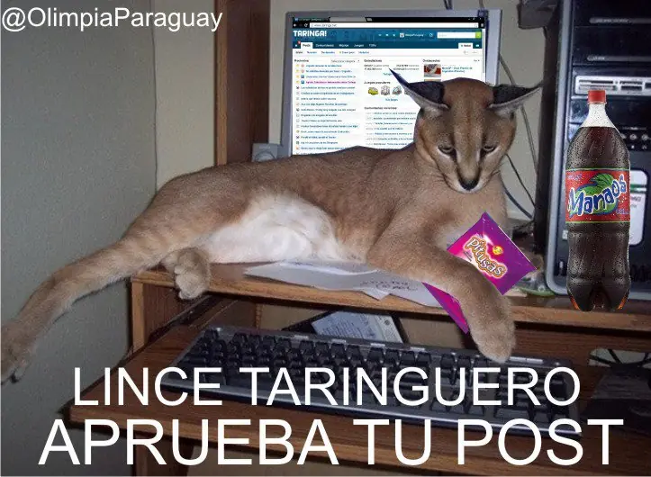 15 Hacks que simplificaran Tu vida /wifi/casa/ etc