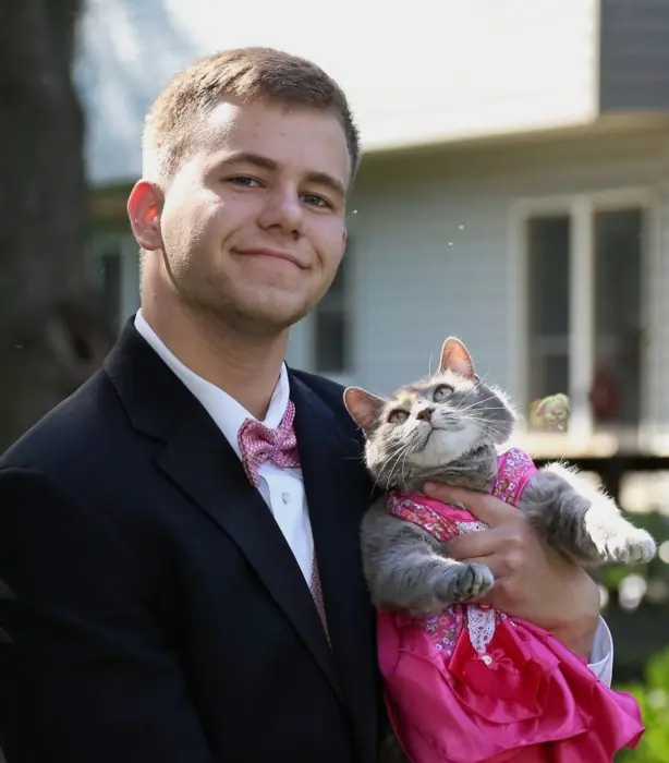 gatita