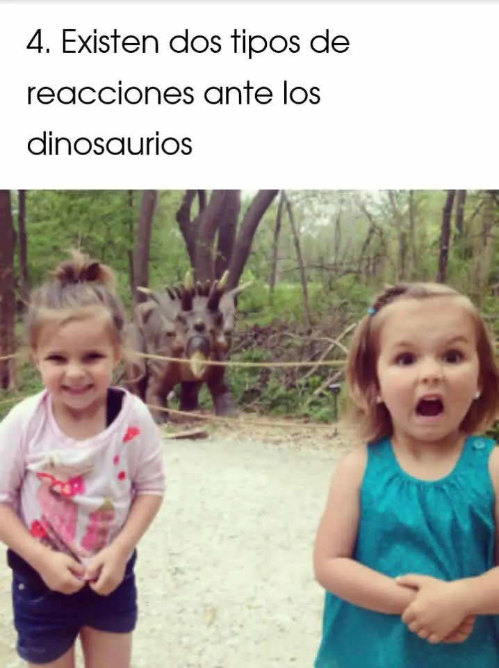reir