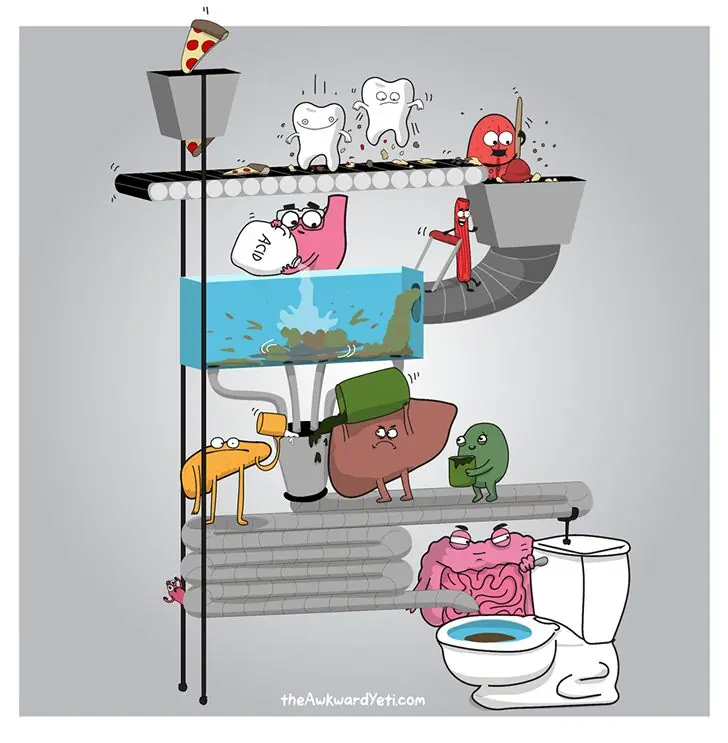 humor