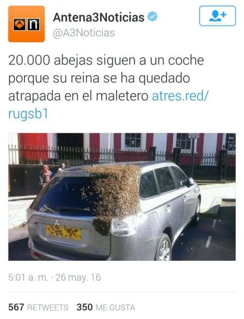 humor