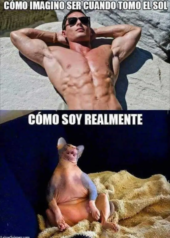 humor