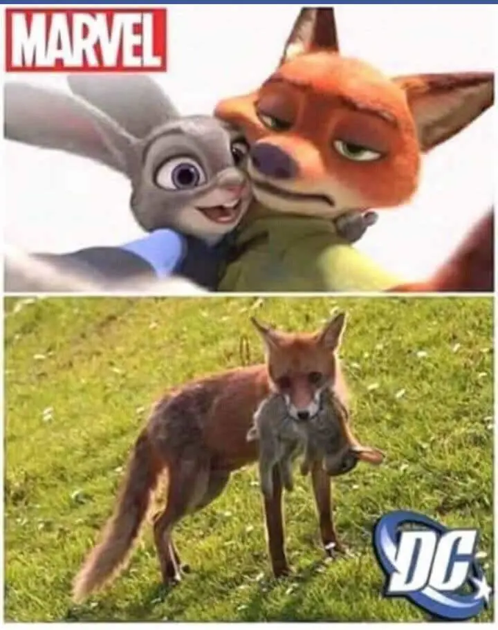 Imagenes Graciosas parte 17