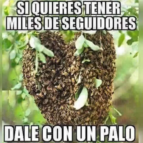 Imagenes graciosas