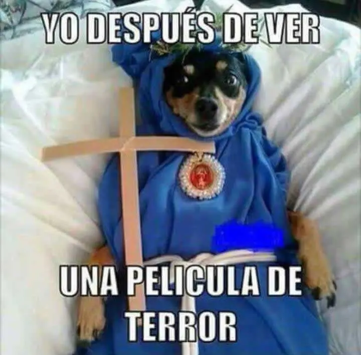 gracia