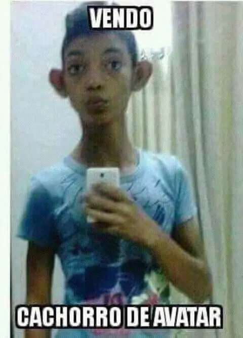 reir