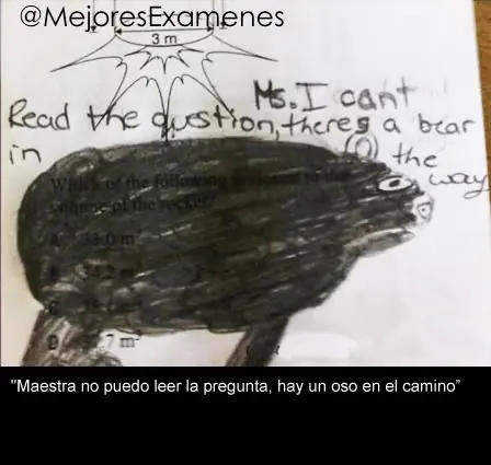 Ingeniosas