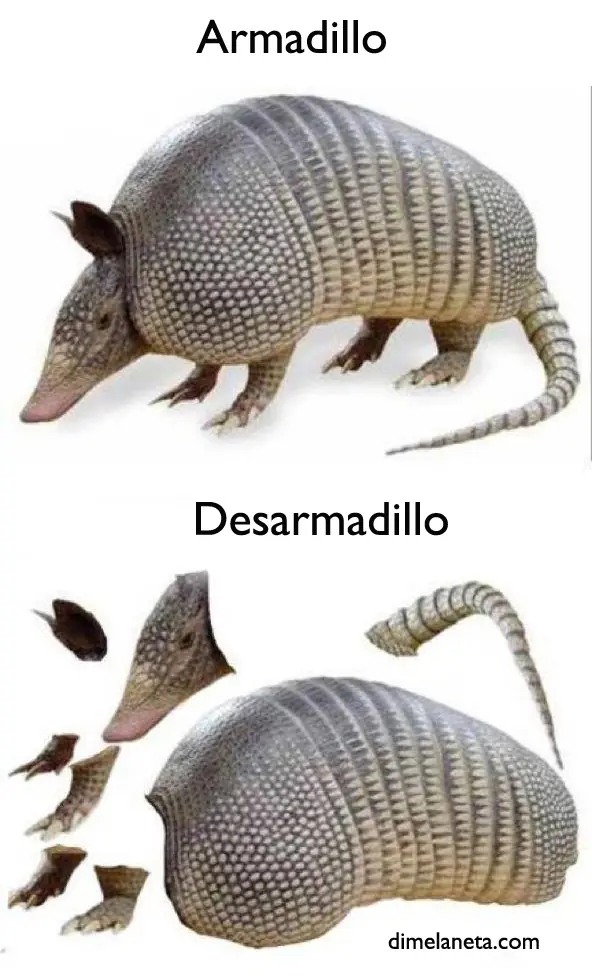 le cabio