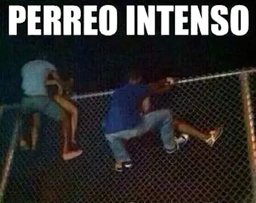 Viernes en la noche? empieza el perreo intenso