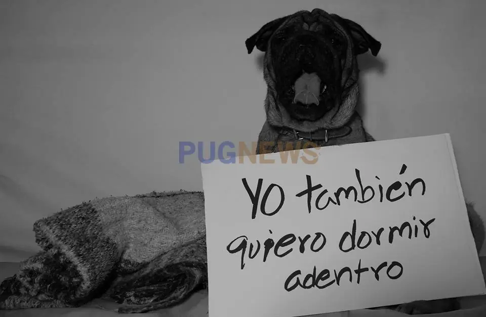tecnoligia tecnoligia