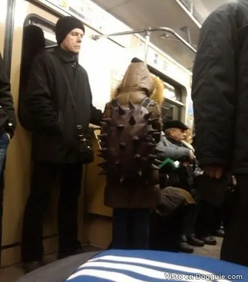 Cosas raras que solo vemos en Rusia
