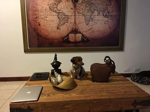 Salchi Pensamientos libro 2 sección 22