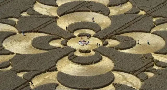 imagenes divertidas