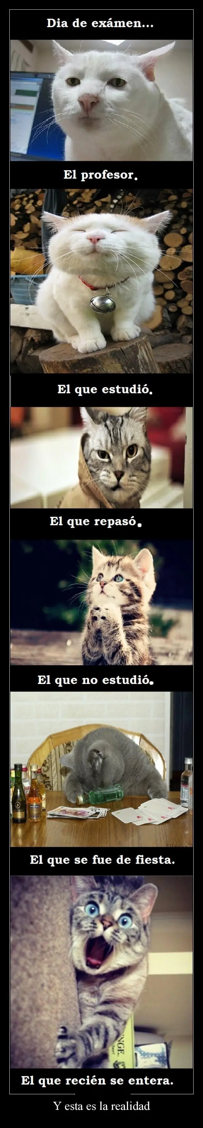 ocio