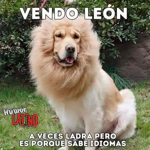 [Humor Gráfico 6] Pasa Y Reite......