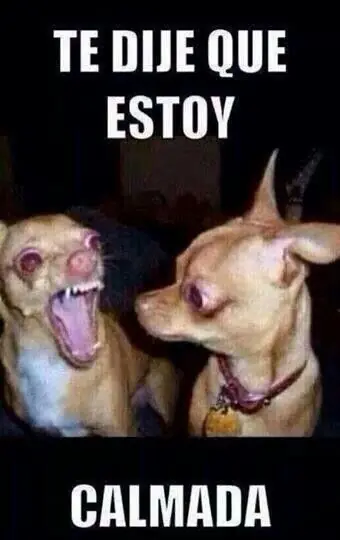 Animales