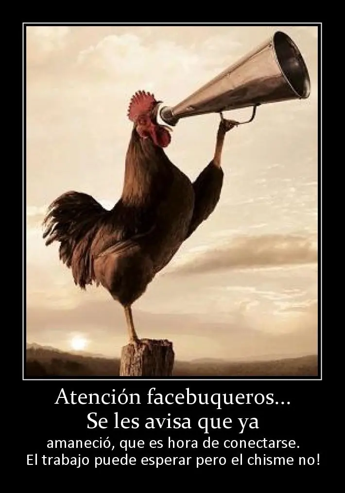 frases
