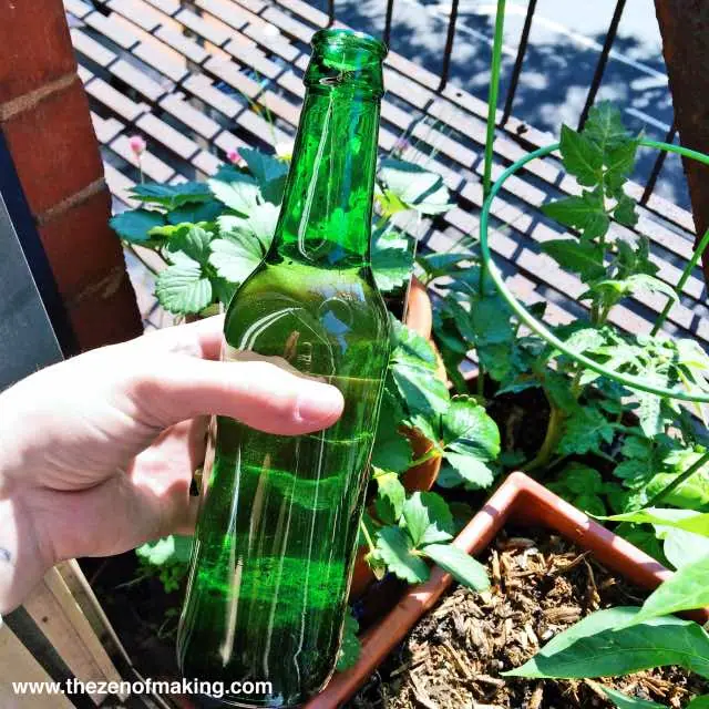 botella