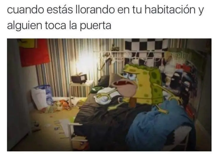 indentificaras
