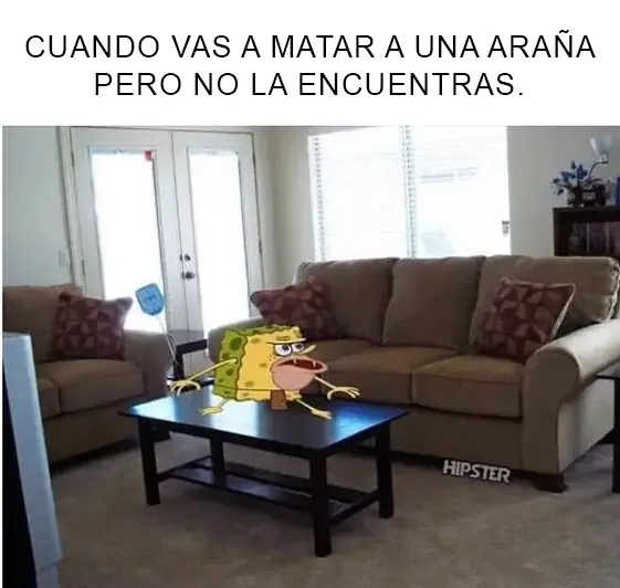 indentificaras