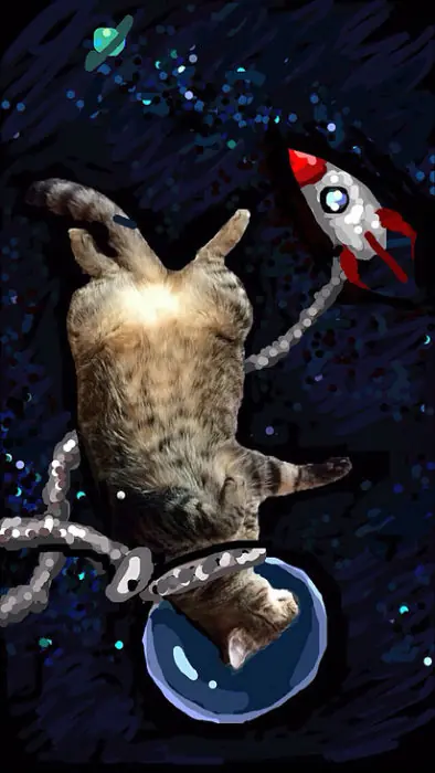 Gato se vuelve viral en Snapchat por sus graciosas fotos