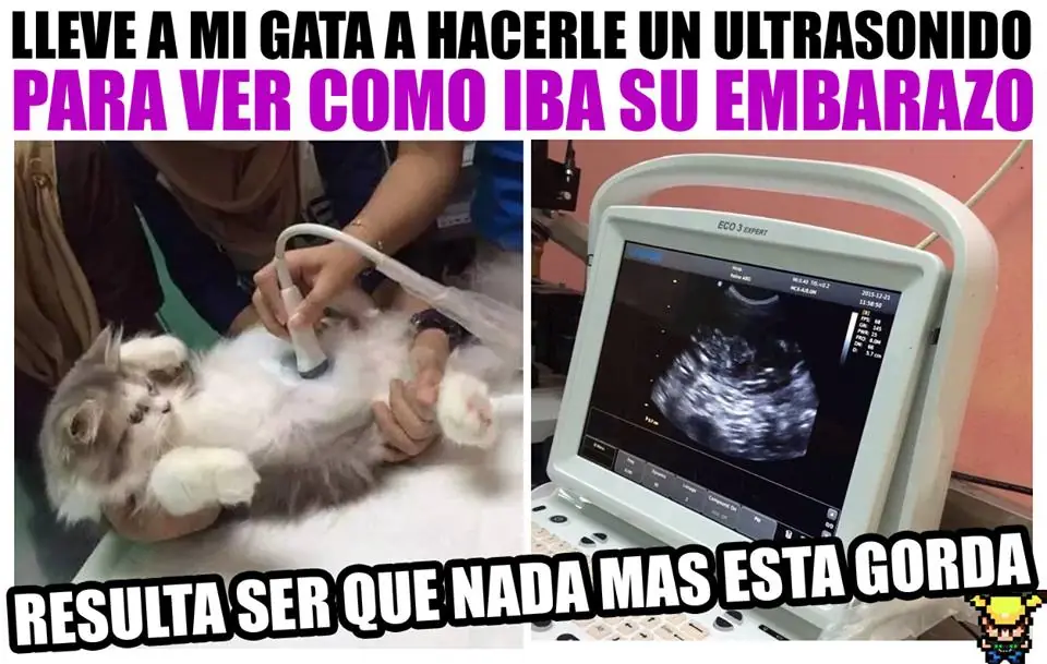 humor de viernes