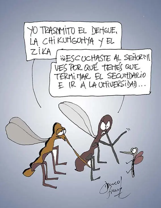 humor
