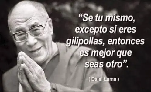 imagenes divertidas