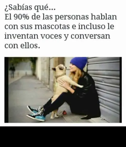 humor