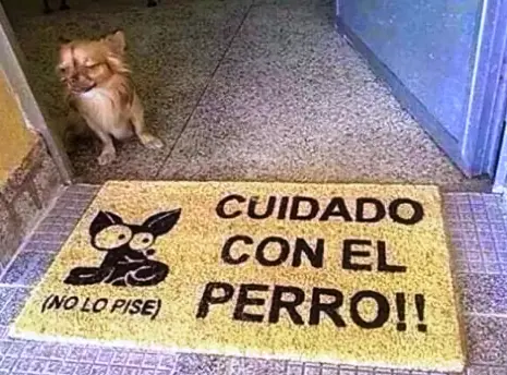 humor de viernes
